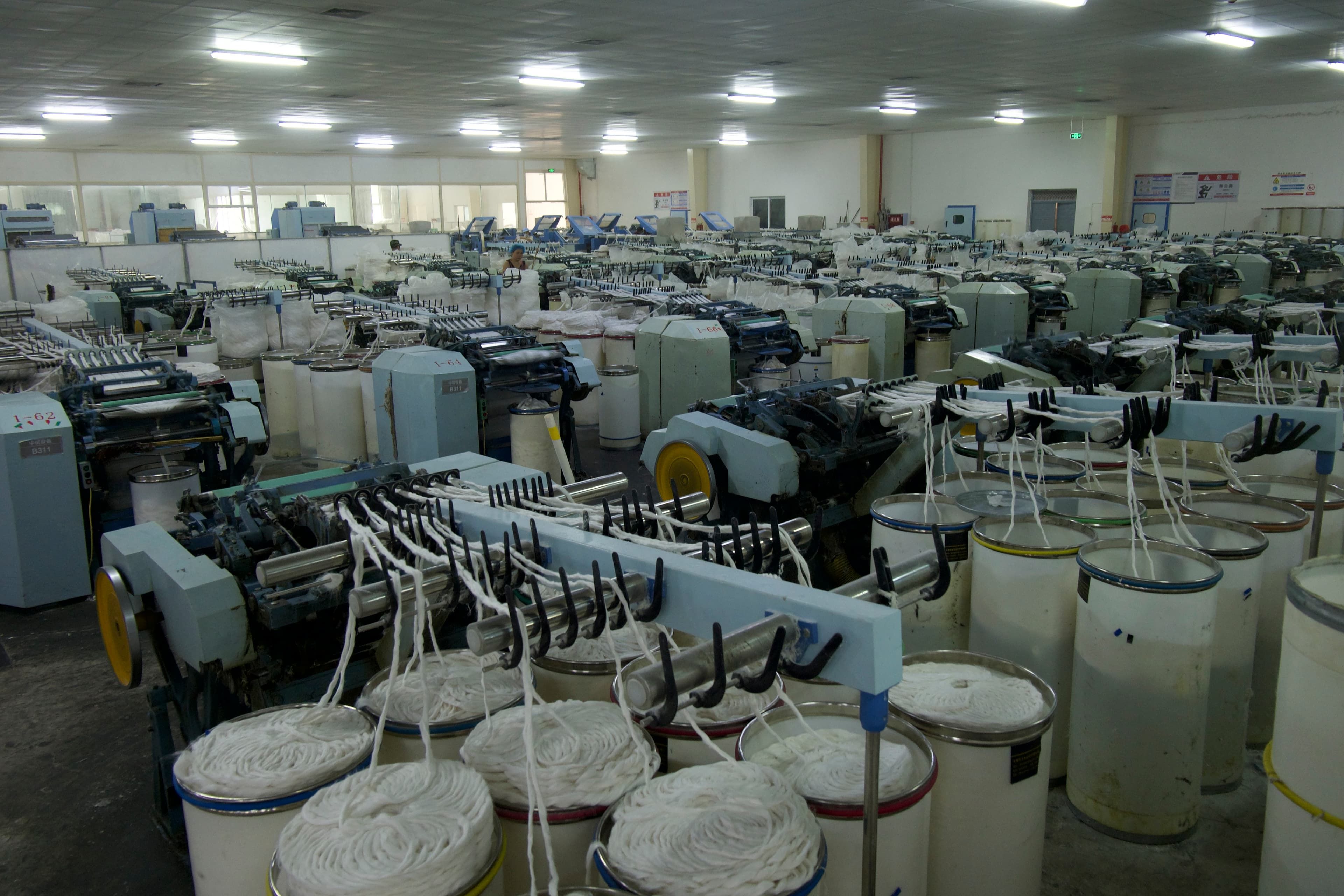 Ramie research and development