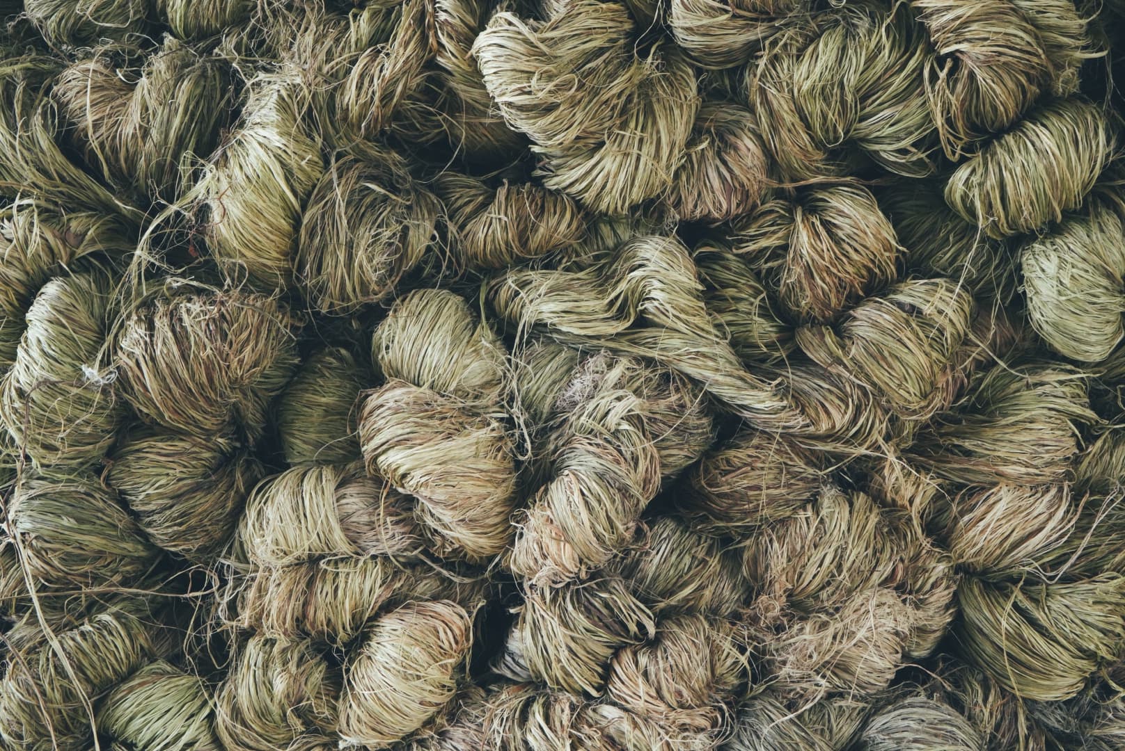 Ramie fiber