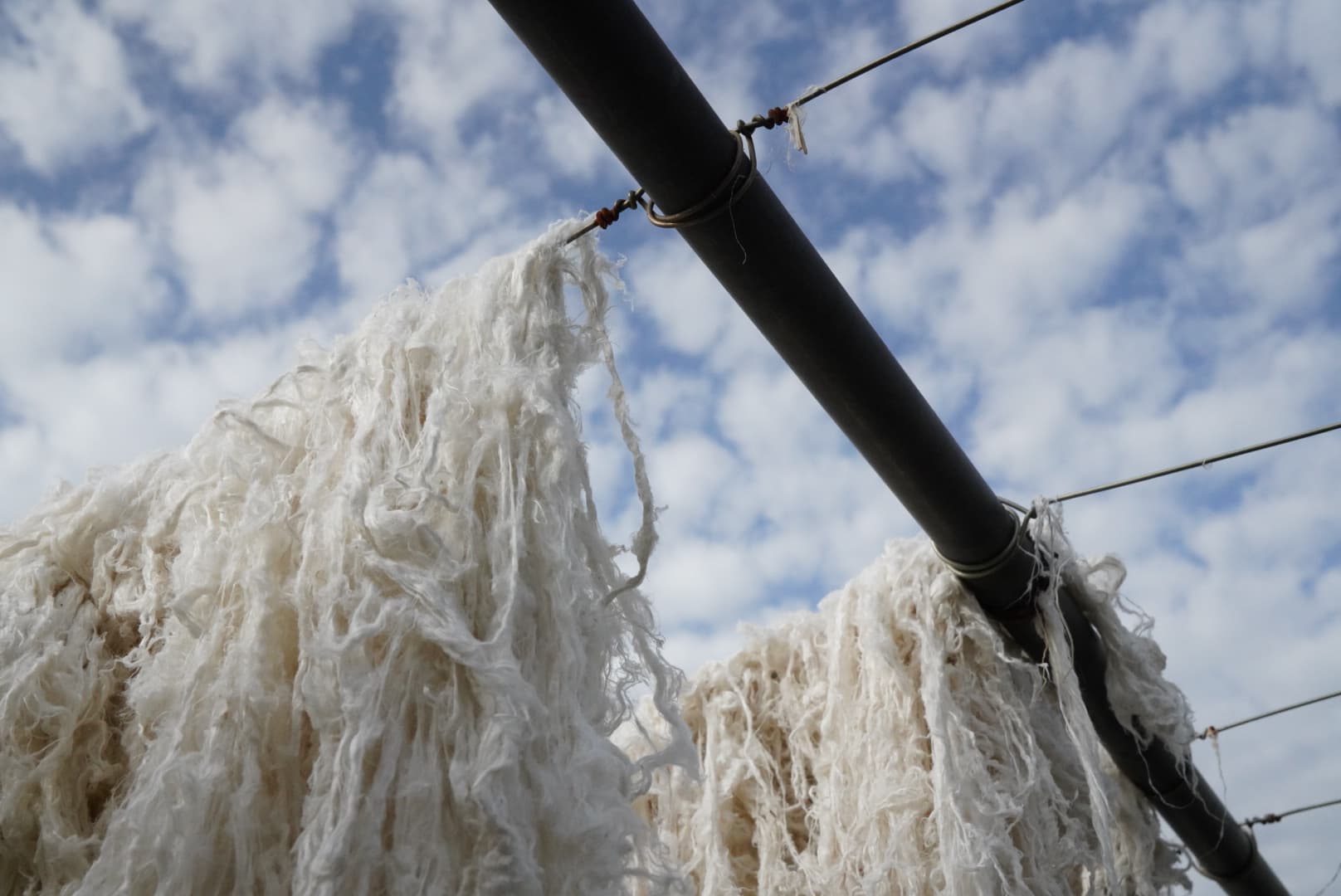 Drying ramie fibers in the sun